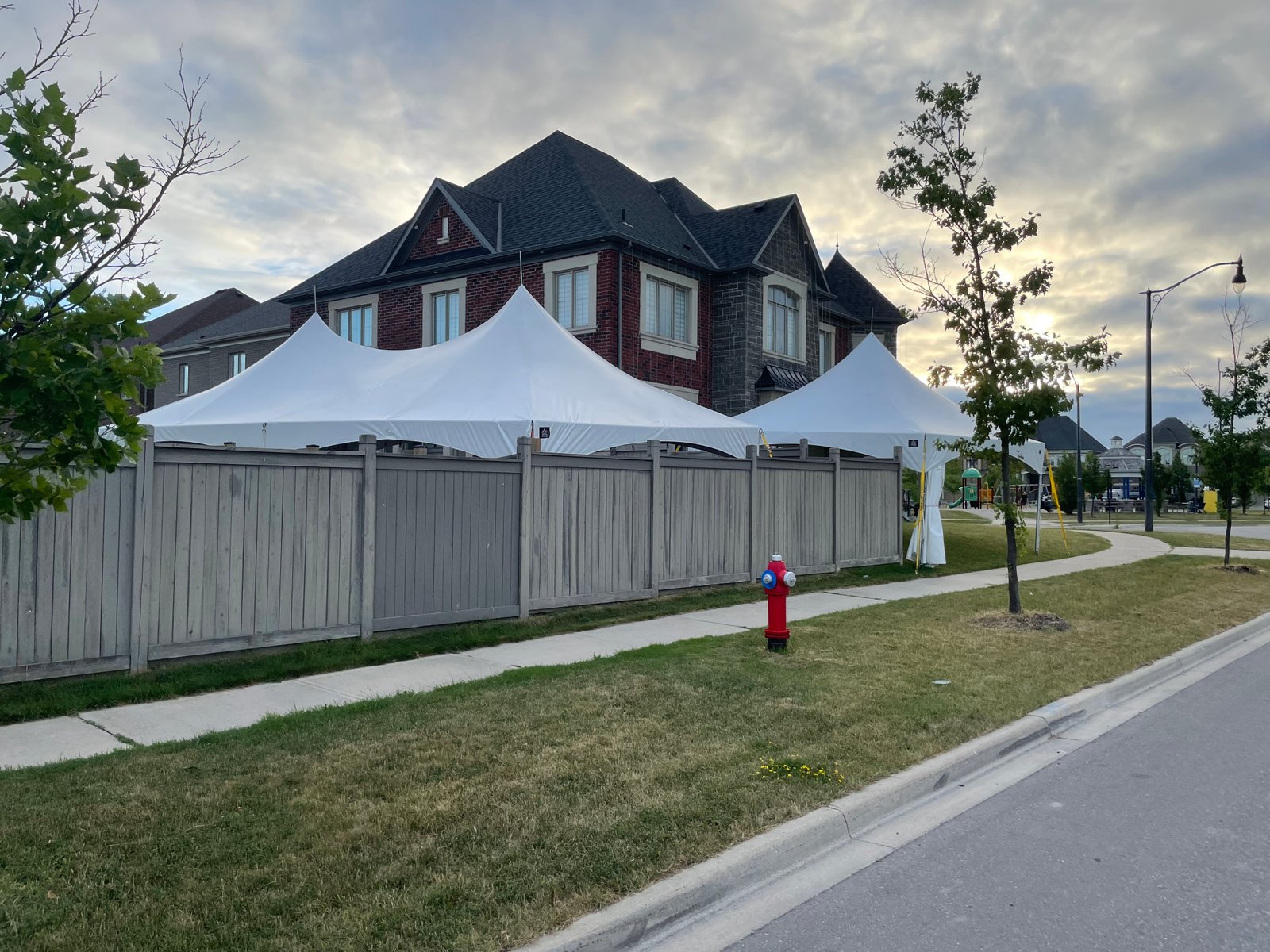 Backyard wedding setup
