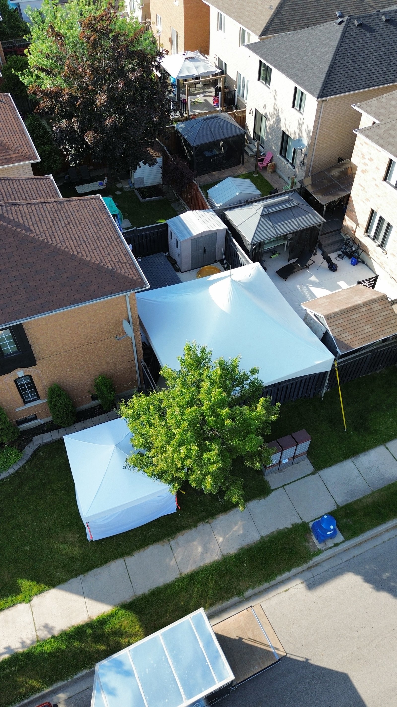 Professional Party Rentals